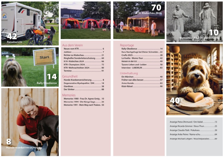 KTR-Reporter-2025-Inhalt